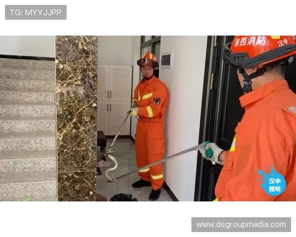 K8讯视真人平台安全保障措施详解，确保玩家个人信息与资金安全无忧