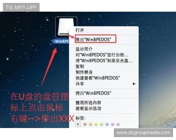 K8平台下载官方最新版详细教程，确保安全无病毒的完整步骤