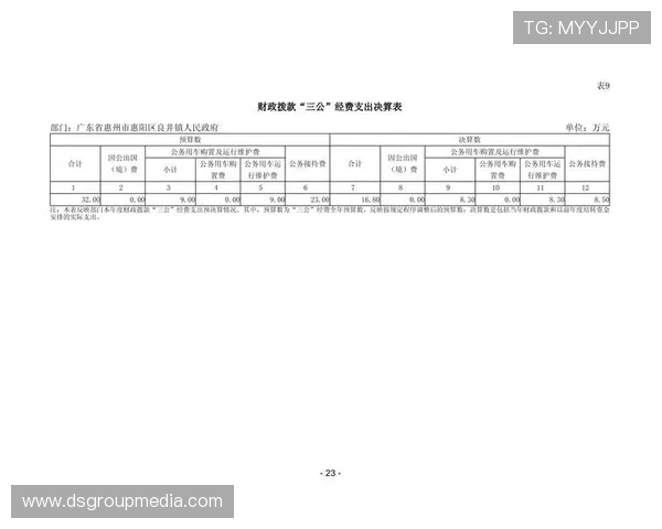 三公经费是哪三公的法律法规依据及其在落实政府廉政建设中的具体实践经验